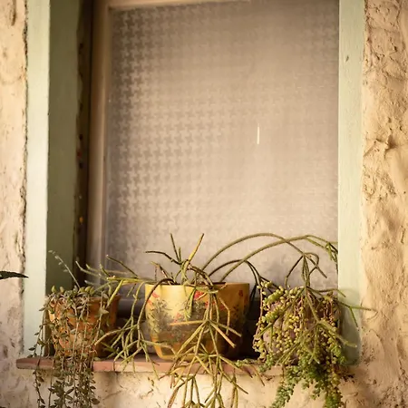 Sa Domu De Ladiri - Matrimoniale Con Giardino Musei