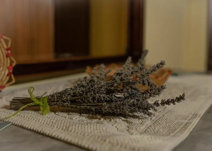 Sa Domu De Ladiri - Matrimoniale Con Giardino 3* Musei