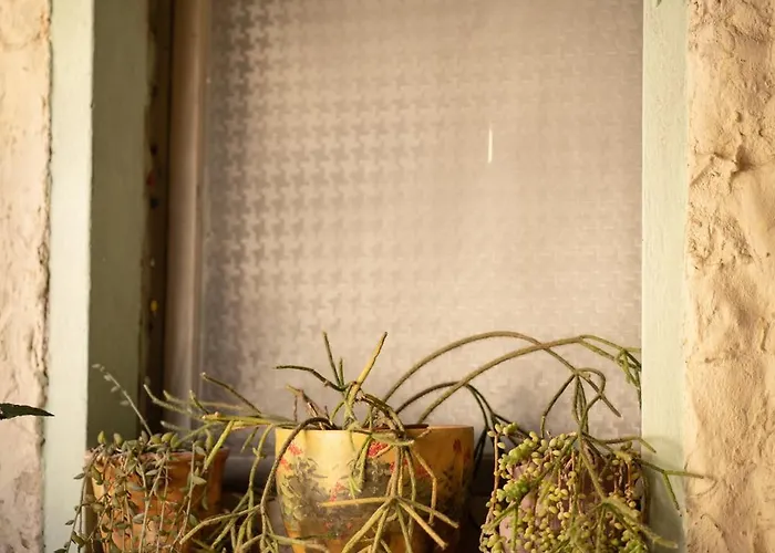 Sa Domu De Ladiri - Matrimoniale Con Giardino Musei